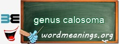 WordMeaning blackboard for genus calosoma